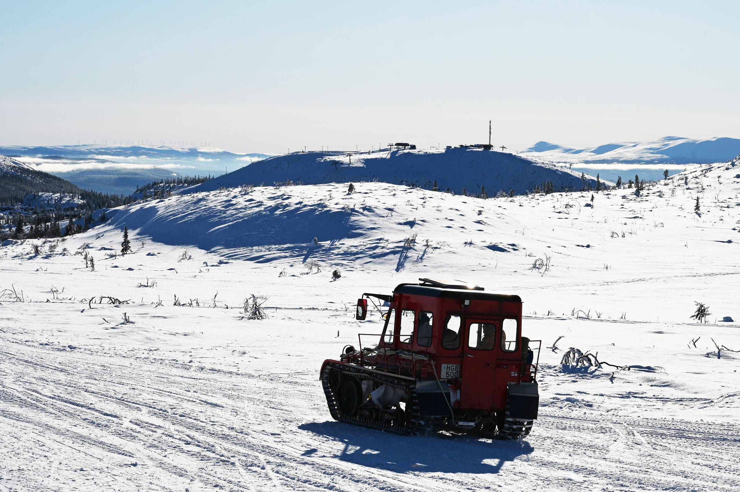 Röd vessla på snötäckt kalfjäll under klarblå himmel