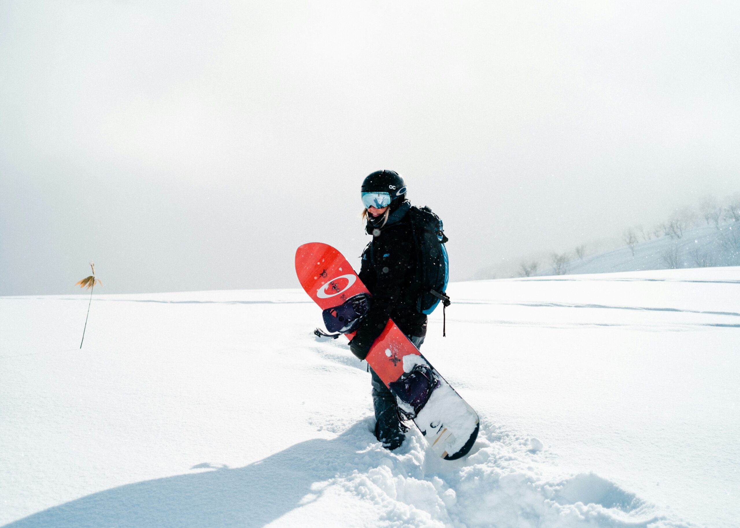 Snowboard