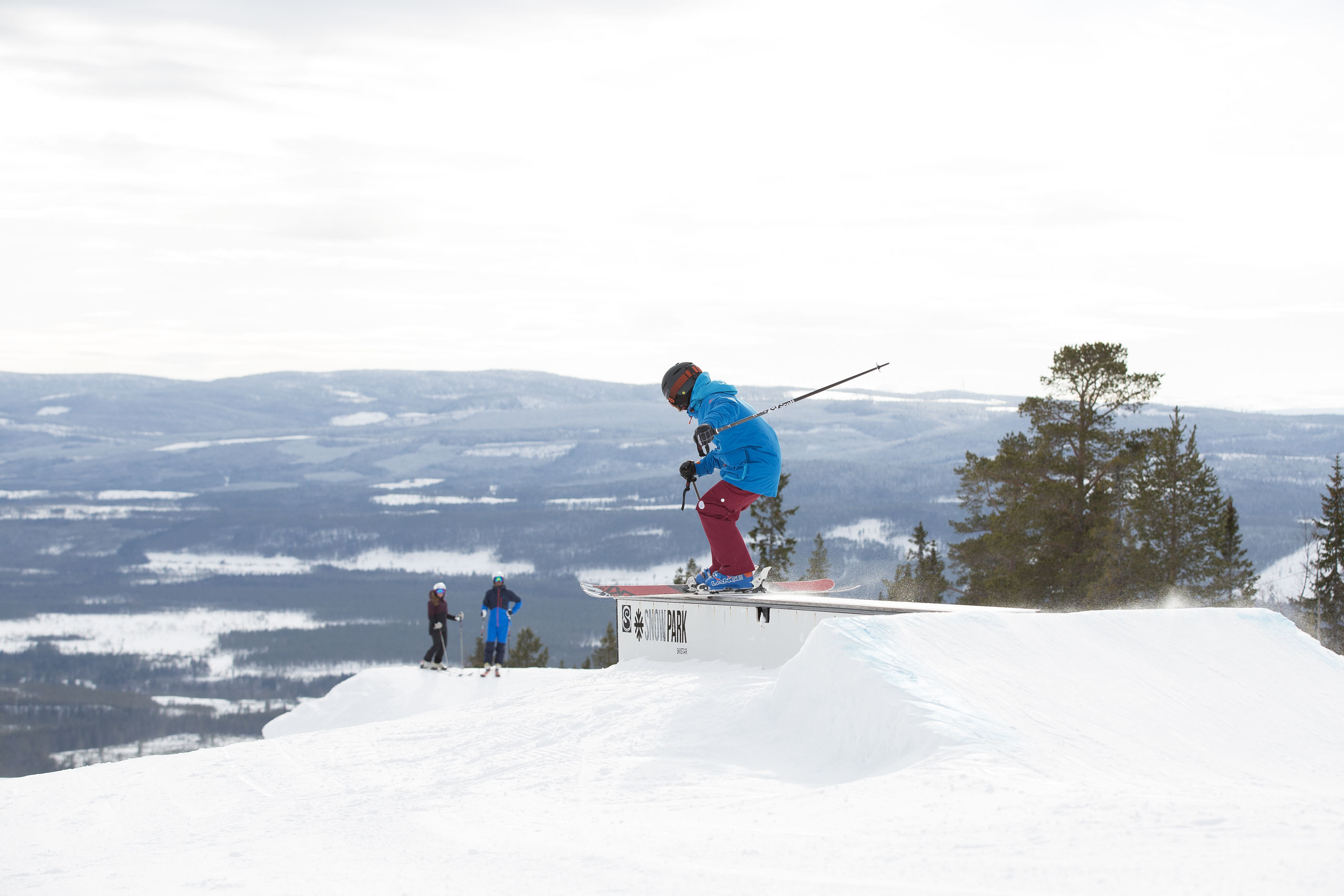 Skidområden