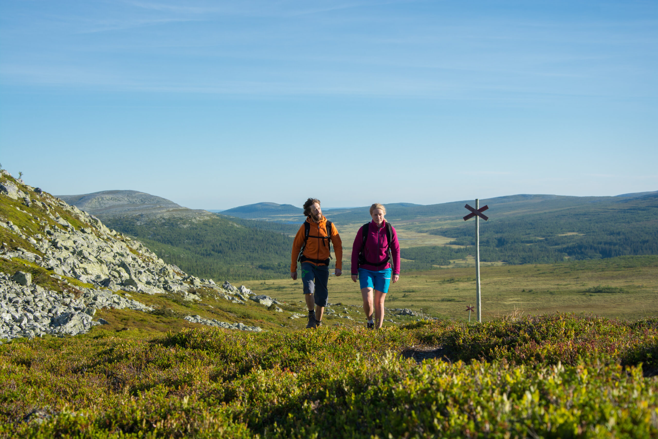 Vandring i Vemdalen – leder för familjer, livsnjutare och äventyrare