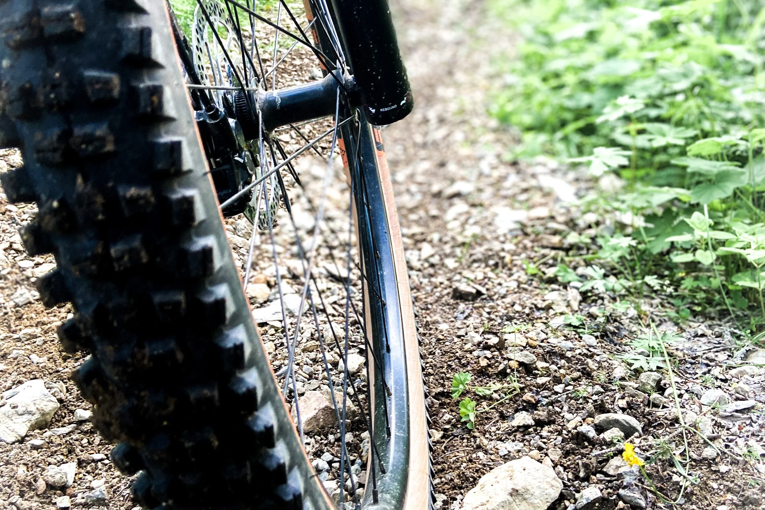 MTB