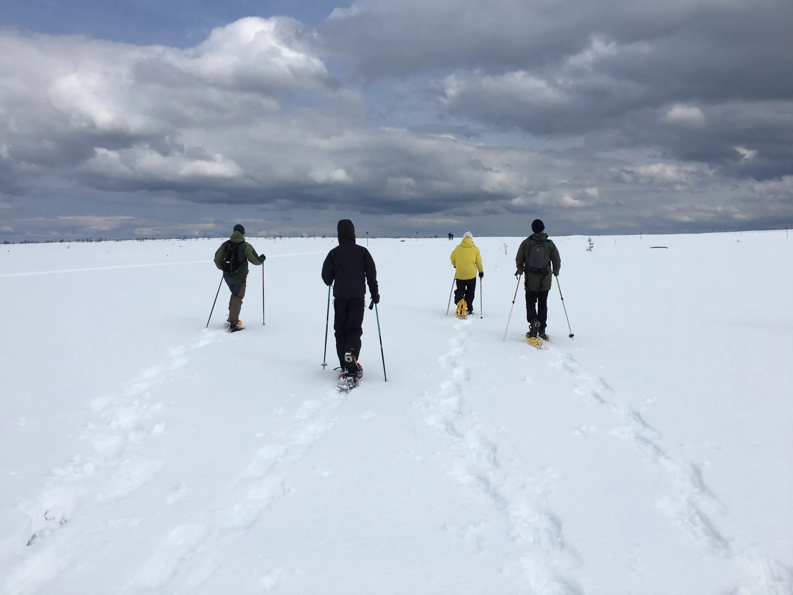 Från skidspår till snöskospår – så njuter du av Vemdalen på ett nytt sätt
