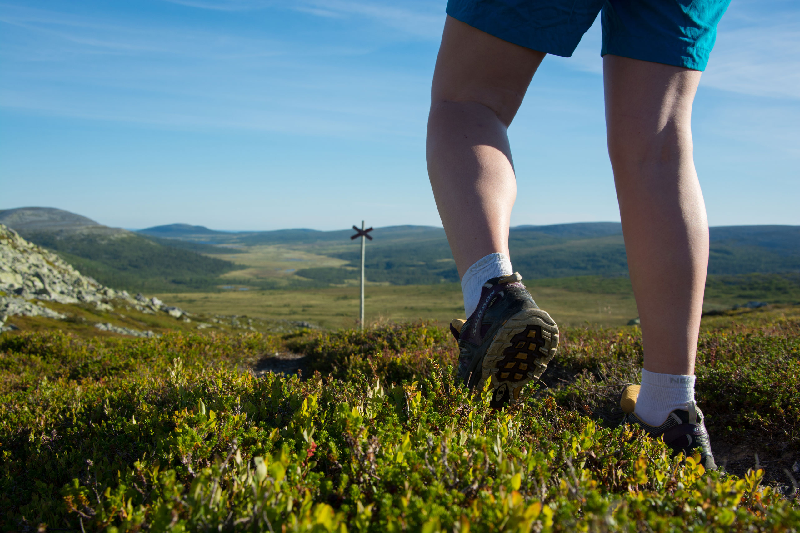 Upprustning av vandringsleder i Vemdalen/Åsarna
