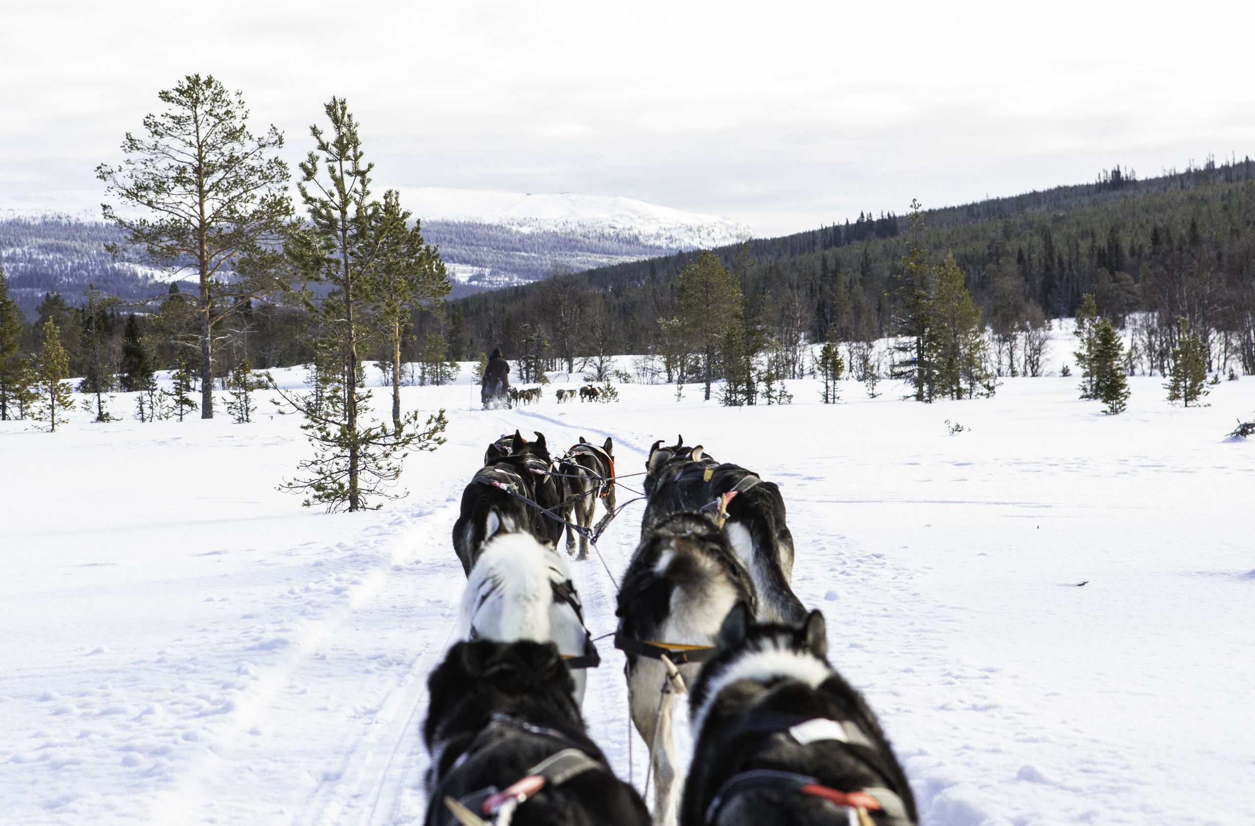 VINTERÄVENTYR