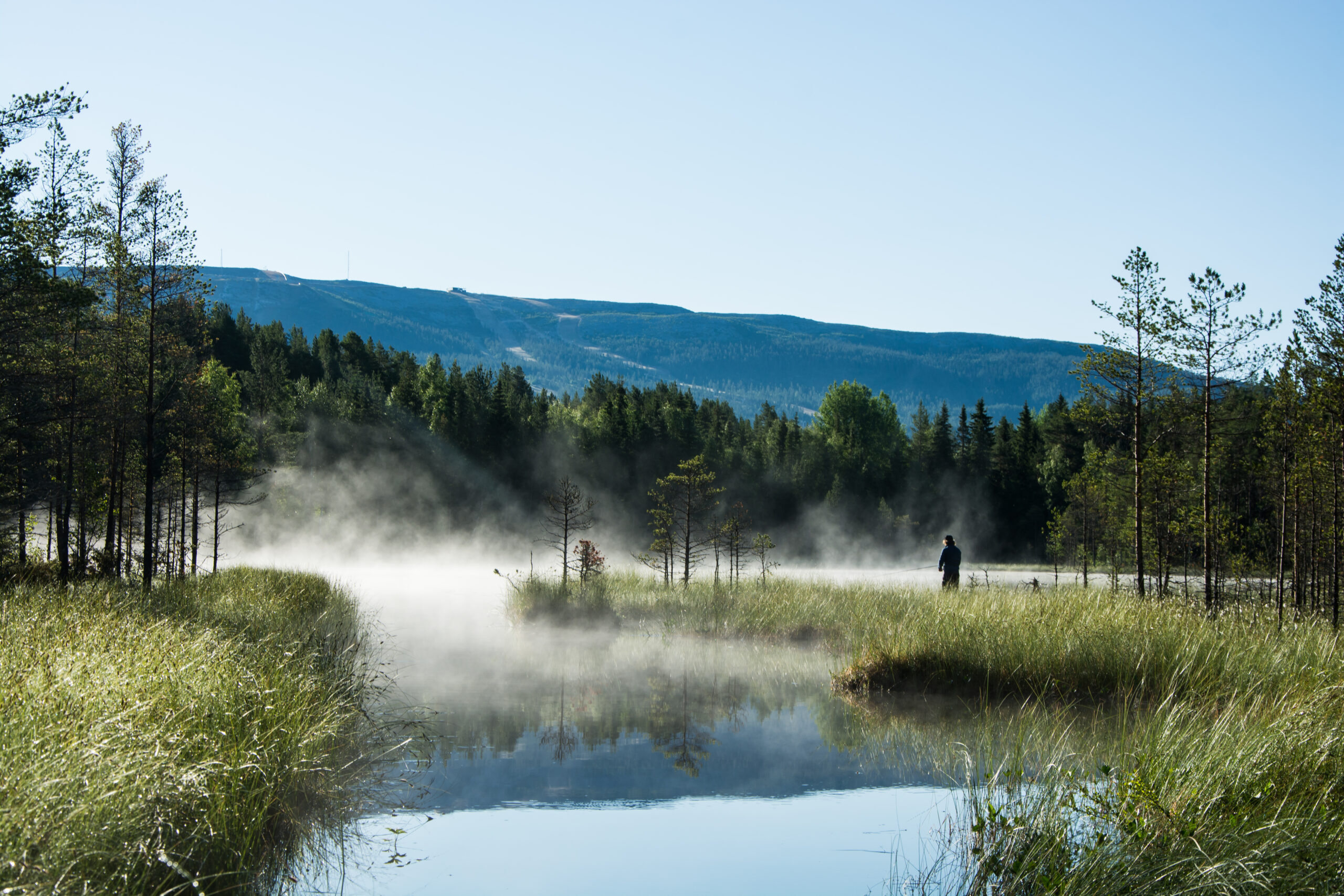 Fiske i Vemdalen – guide till bästa vattnen för varje fiskart
