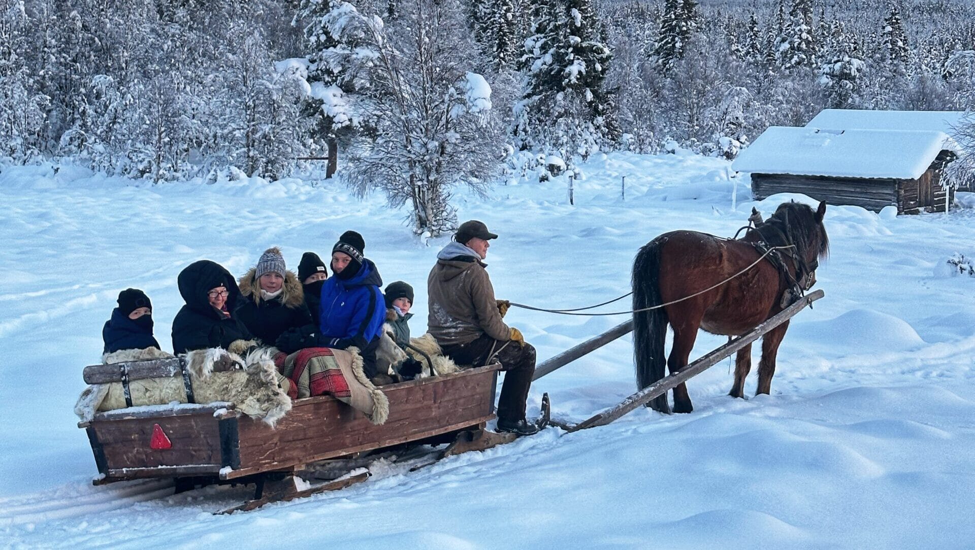 Upplev vintermagin från häst och släde