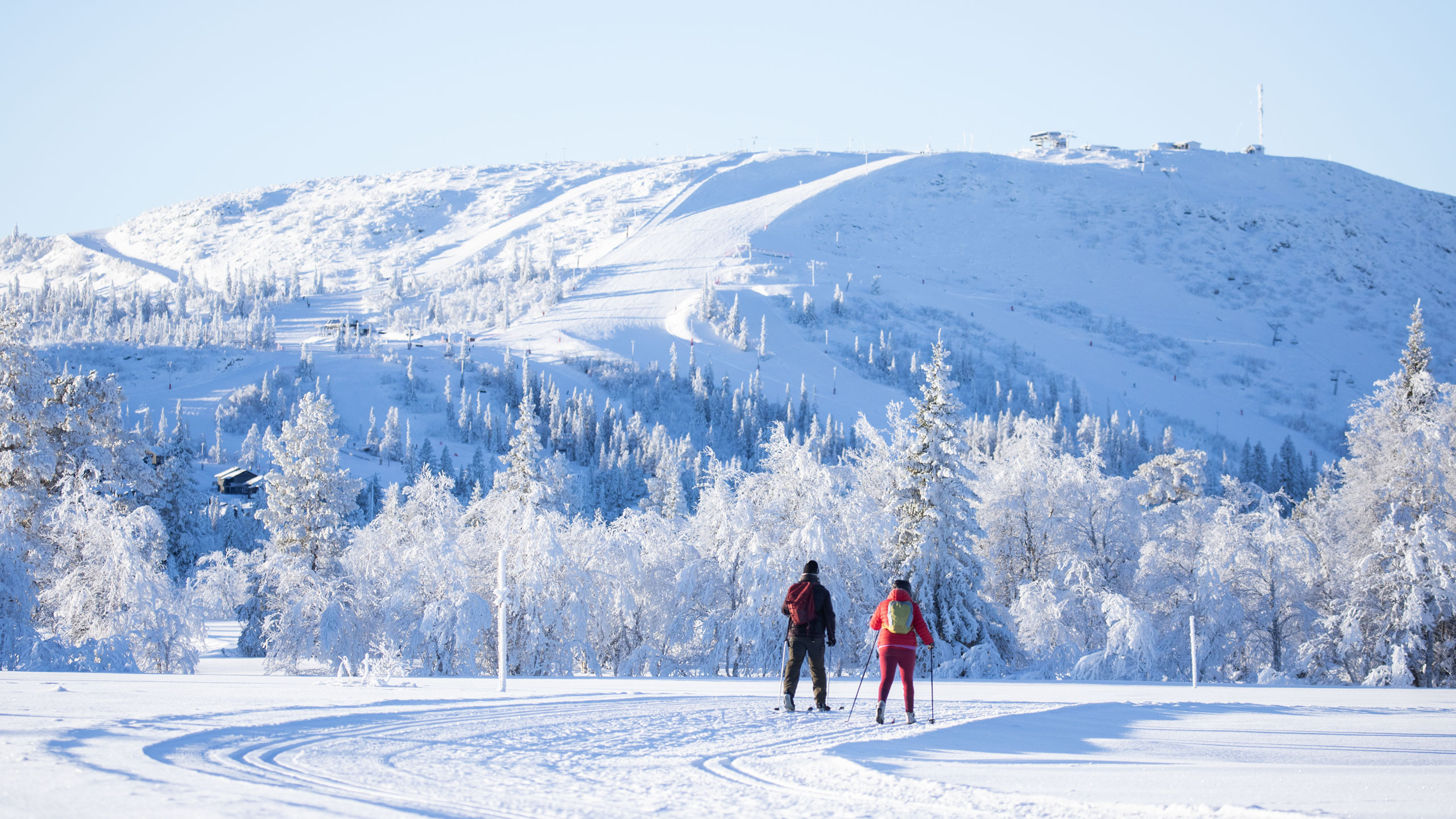 Vinnare i längden