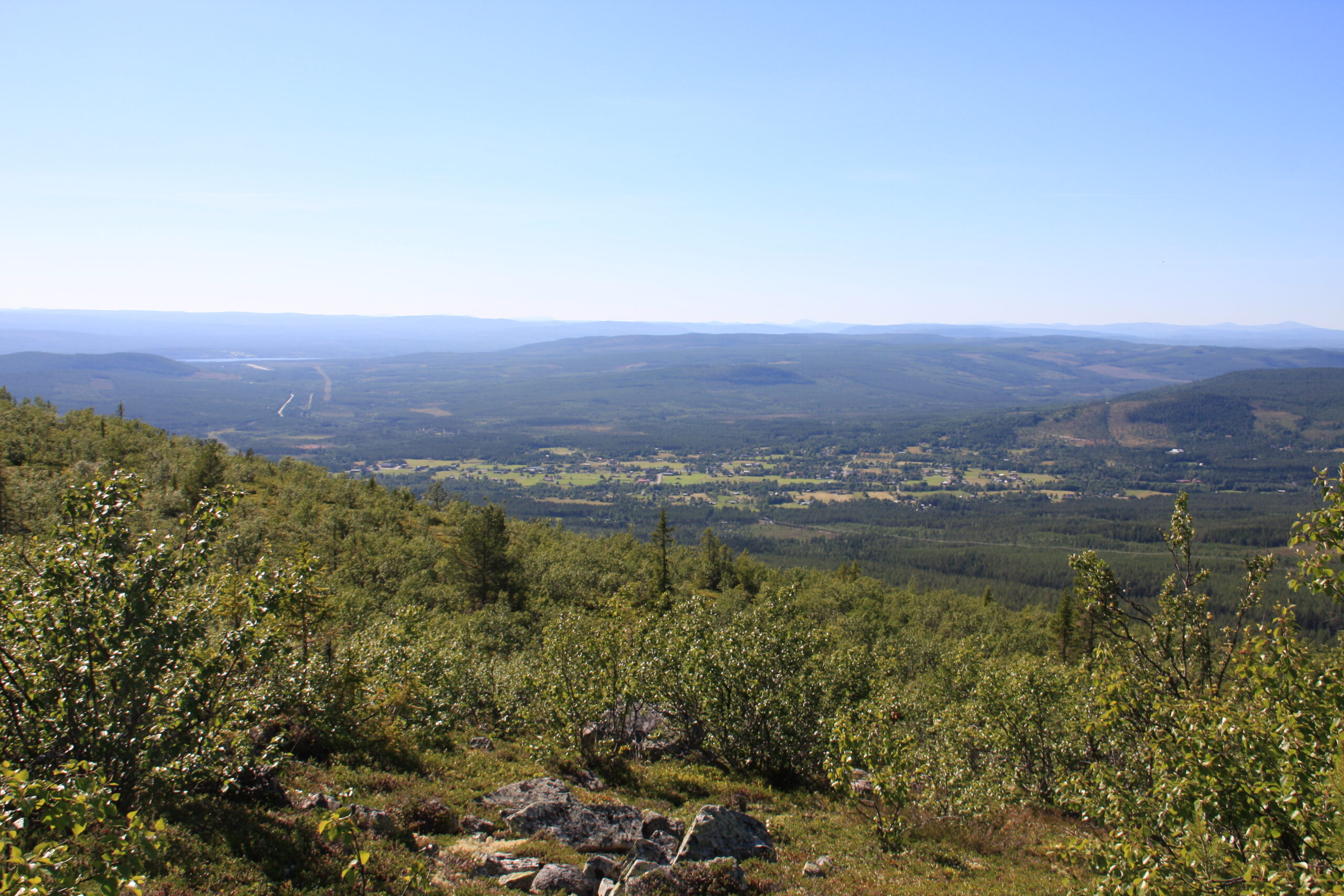 Förstudie: Fjällnära våtmarker i destination Vemdalen