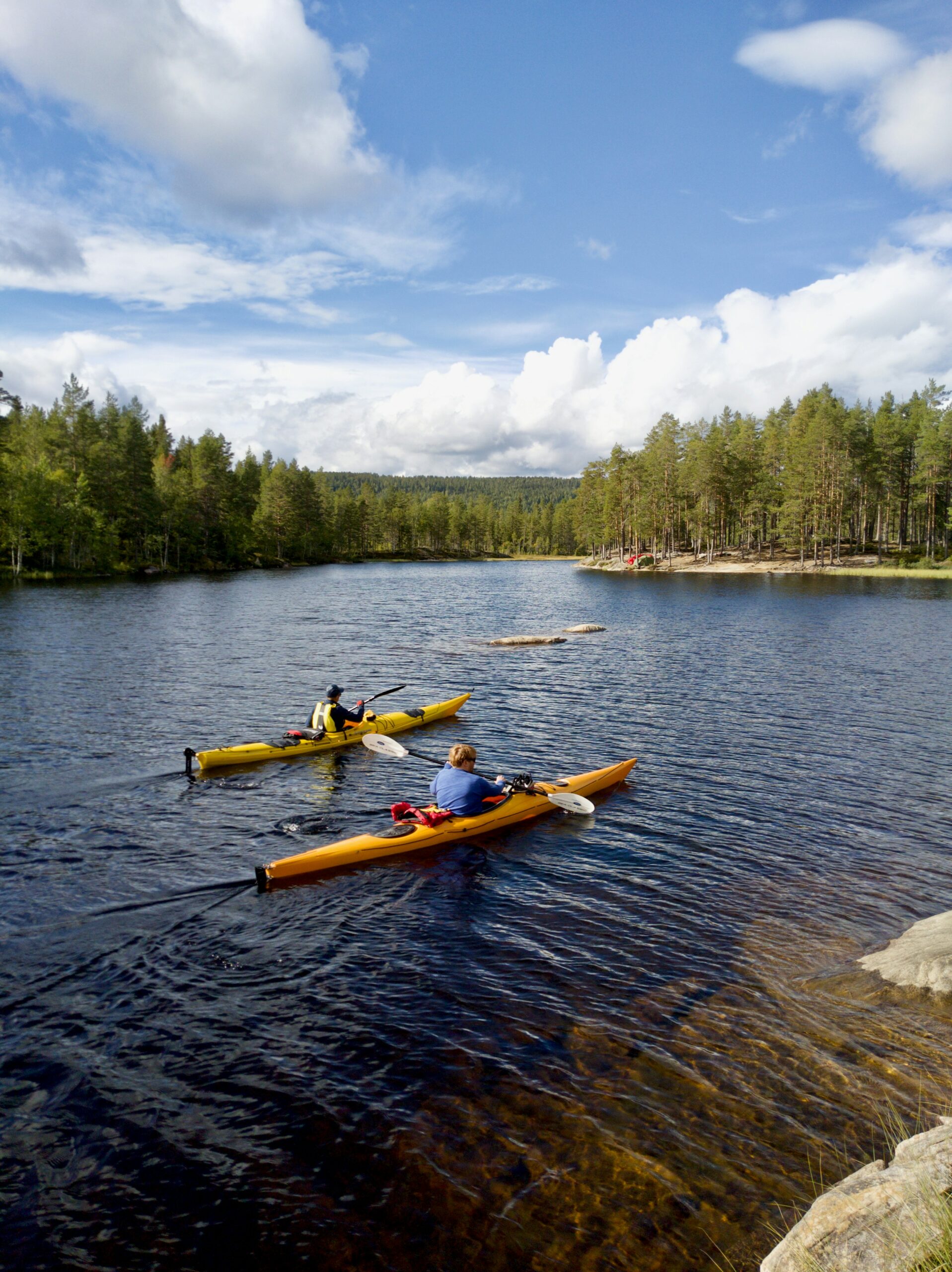Två kajaker på en skogssjö en solig dag