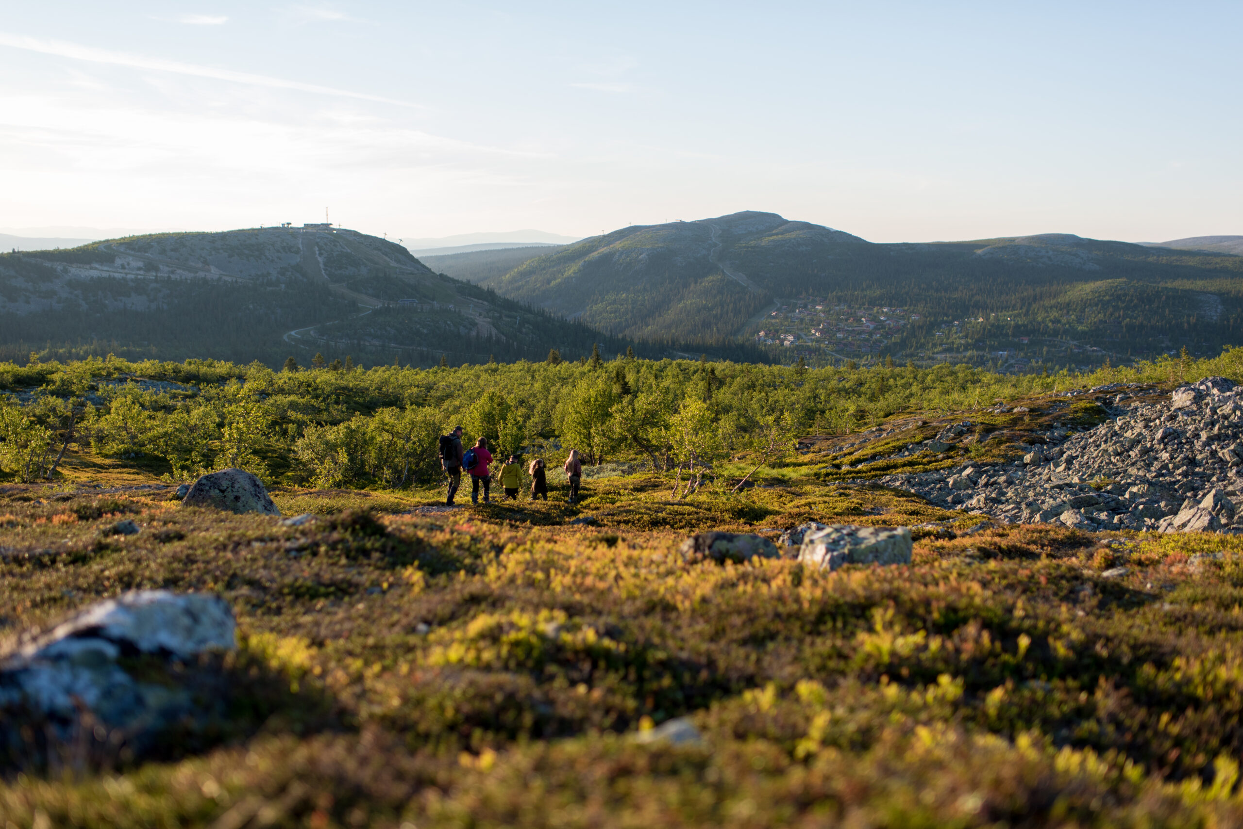 Fjällvandring med guide