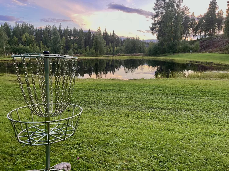 Discgolfkorg på en gräsmatta vid en sjö i kvällsljus
