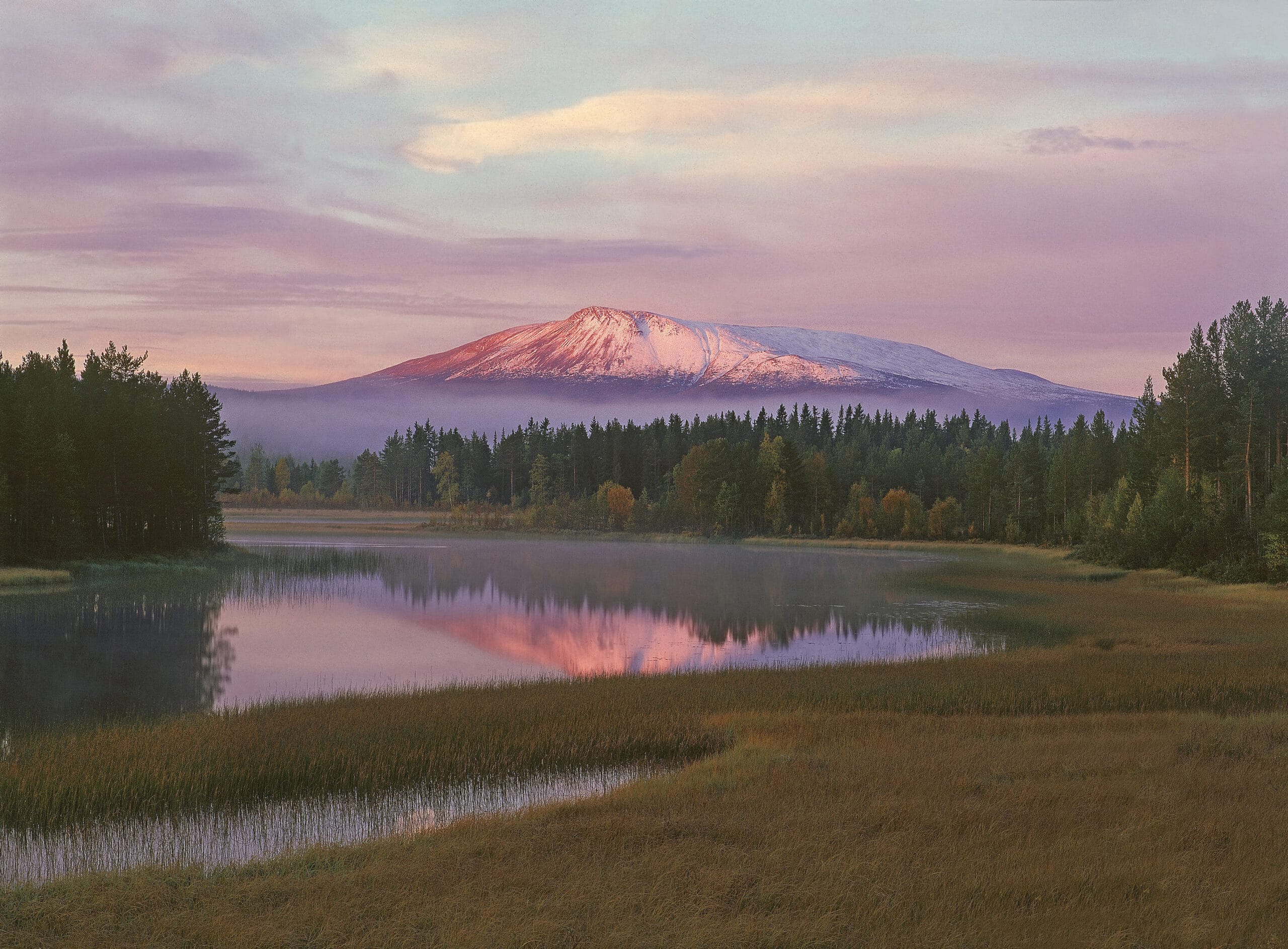 Sonfjällets nationalpark – vildmark, vandring och storslagna vyer