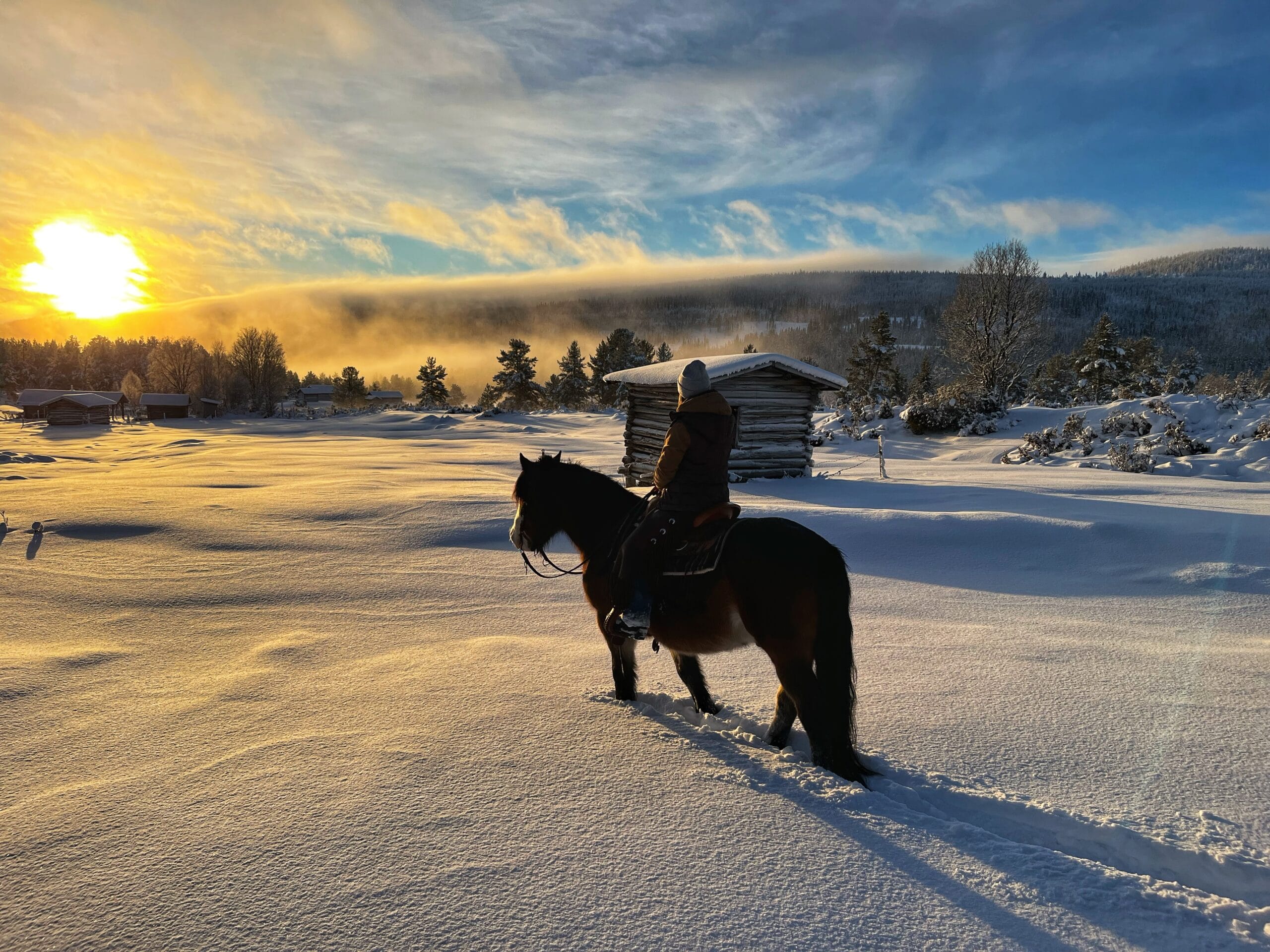 Fjällridning i vinter – en upplevelse utöver det vanliga