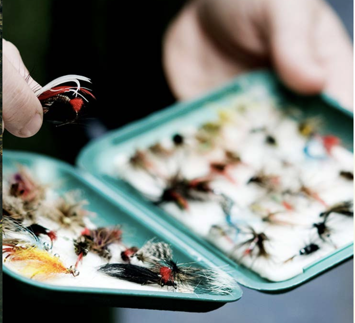 Öppen flugask fylld med fiskeflugor