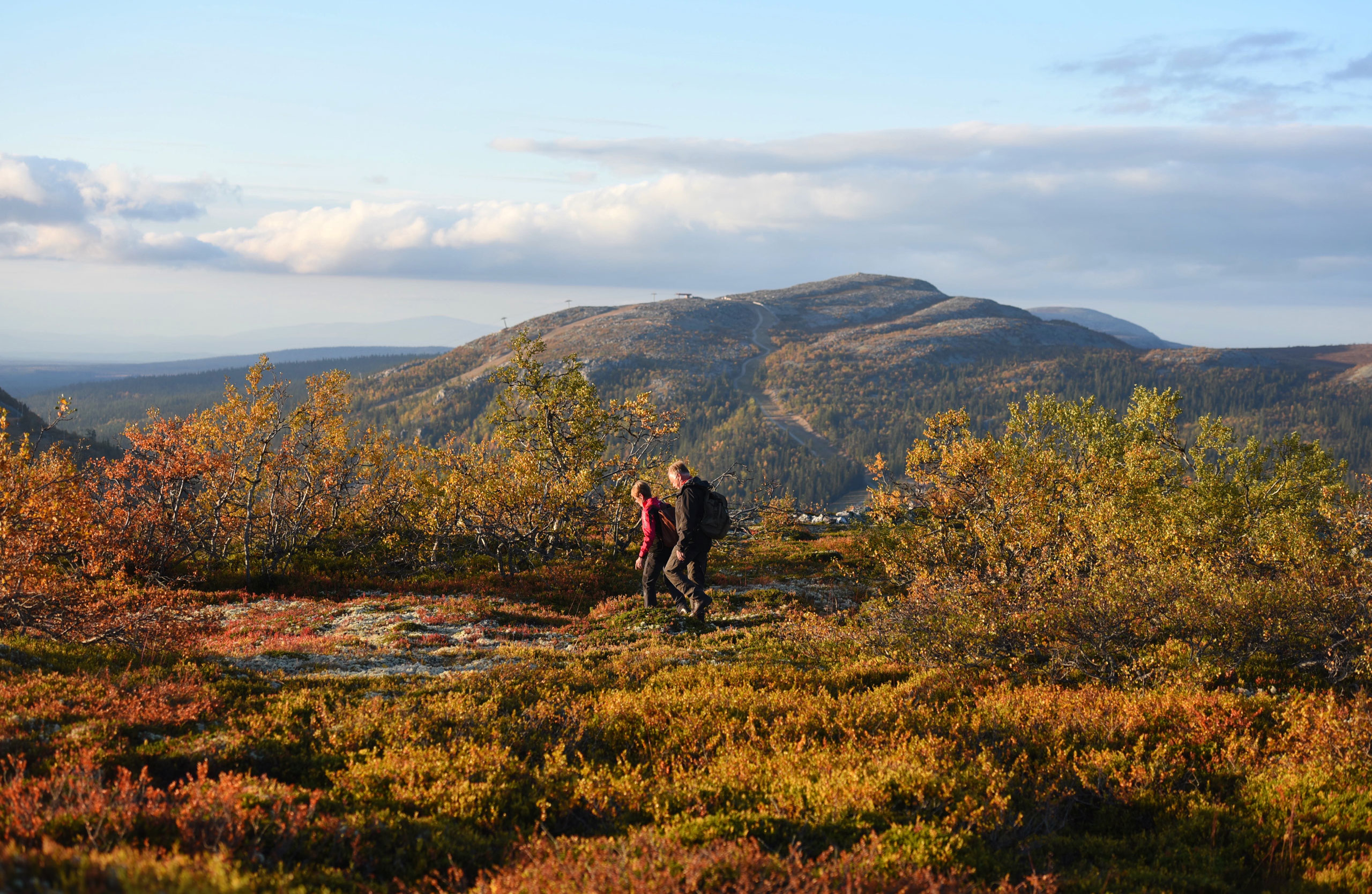 Höstfjäll