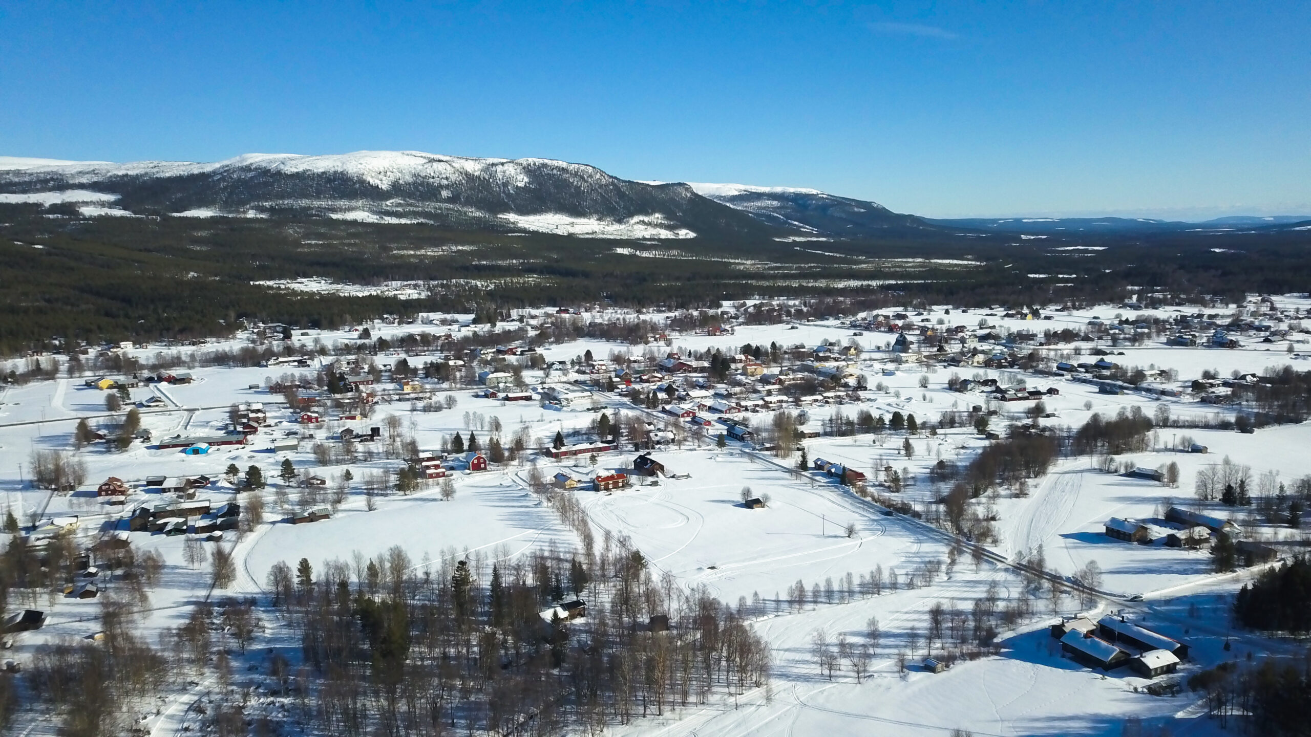 Vemdalens Företagarförening