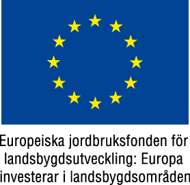 Europeiska Utvecklingsfonden
