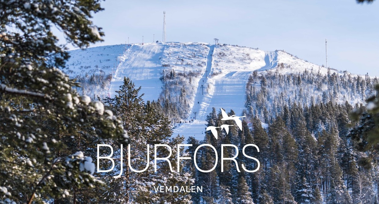 Bjurfors